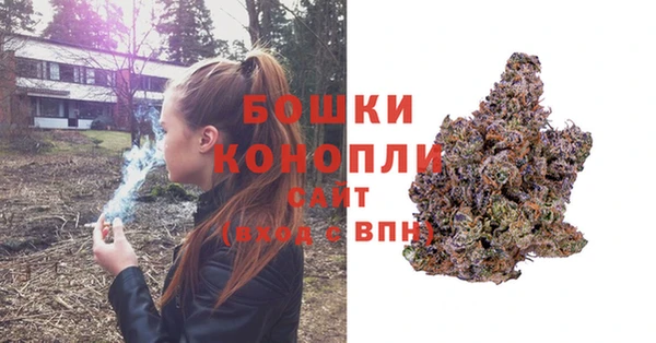 сатива Белоозёрский