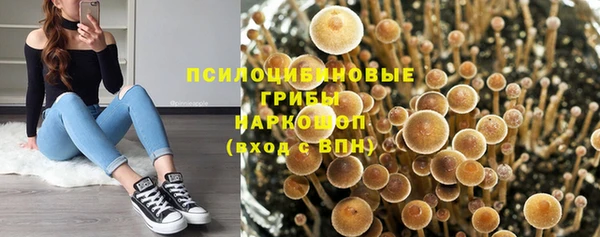 спиды Белокуриха