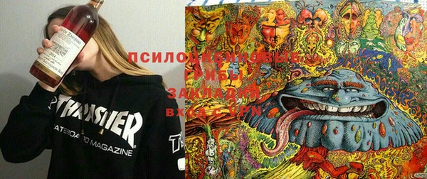 спиды Белокуриха