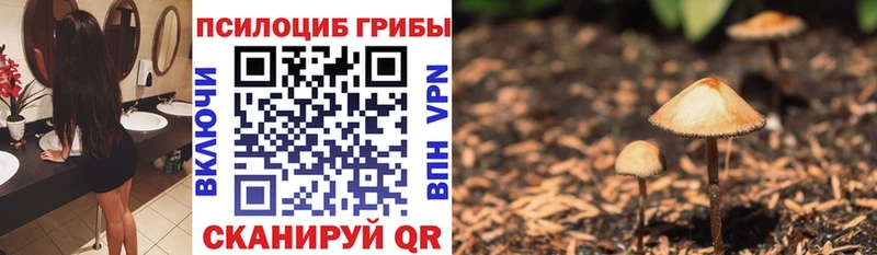 наркотики  ОМГ ОМГ ONION  Псилоцибиновые грибы ЛСД  Кстово 