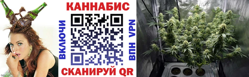 Бошки марихуана Ganja  где купить наркотик  ОМГ ОМГ ссылки  Кстово 